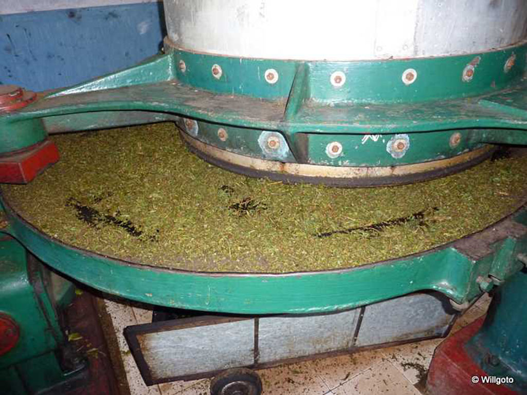 loose leaf tea rolling machine
