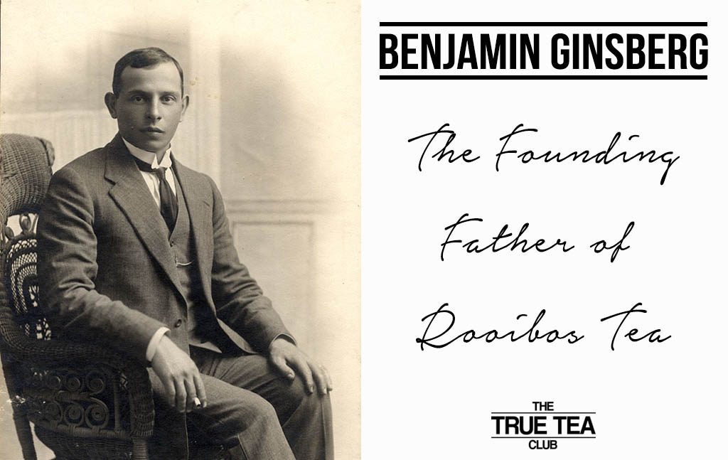 benjamin ginsberg who was the founding father of rooibos tea. picture created by true tea club uk